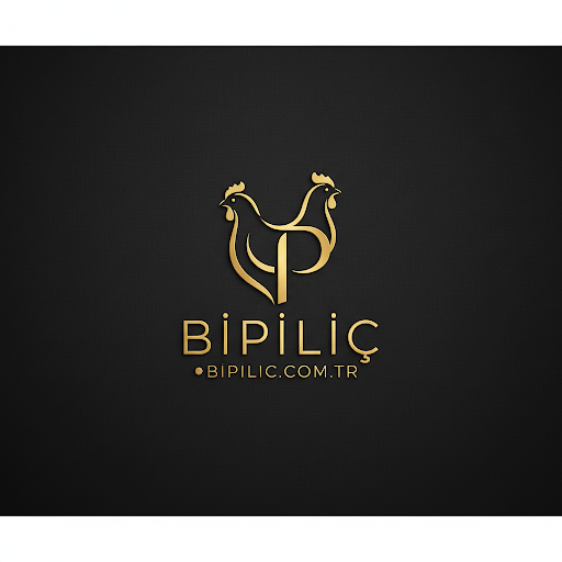 BiPiliç